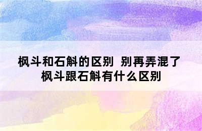 枫斗和石斛的区别  别再弄混了 枫斗跟石斛有什么区别